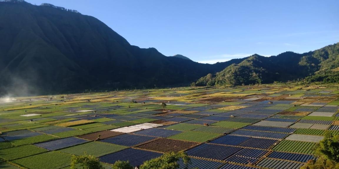 Rinjani Hill Hotel Sembalunlawang Exteriér fotografie