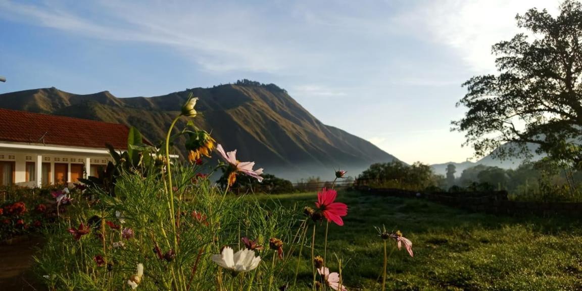 Rinjani Hill Hotel Sembalunlawang Exteriér fotografie