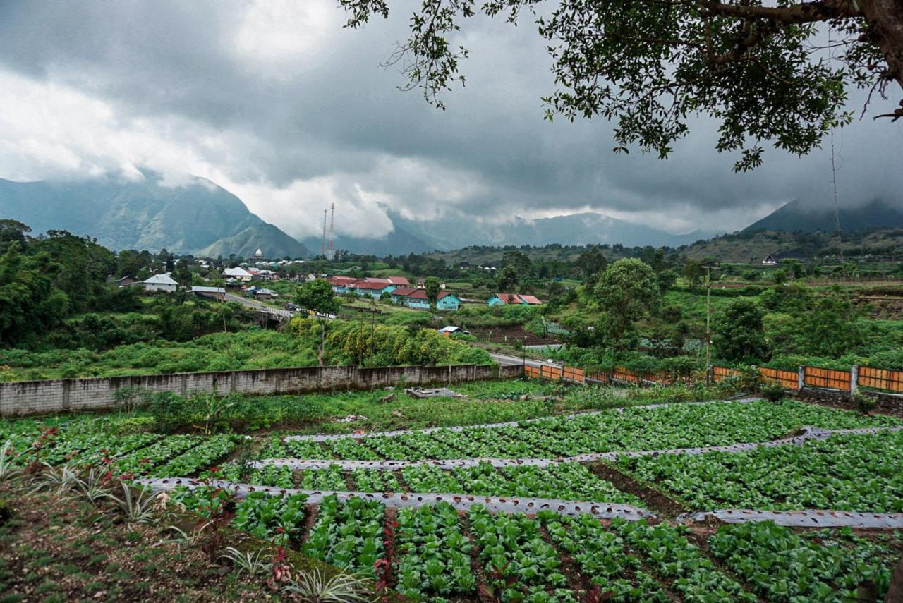 Rinjani Hill Hotel Sembalunlawang Exteriér fotografie