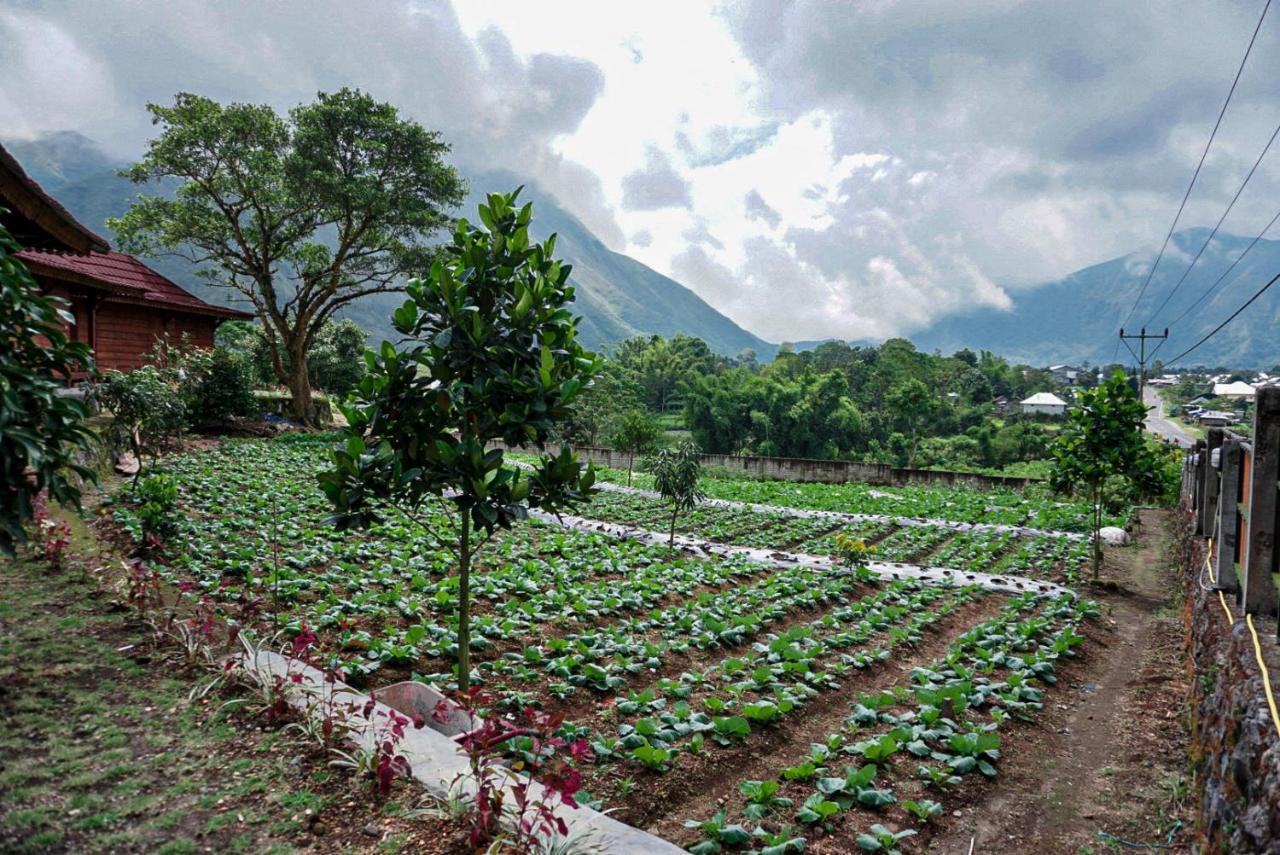 Rinjani Hill Hotel Sembalunlawang Exteriér fotografie