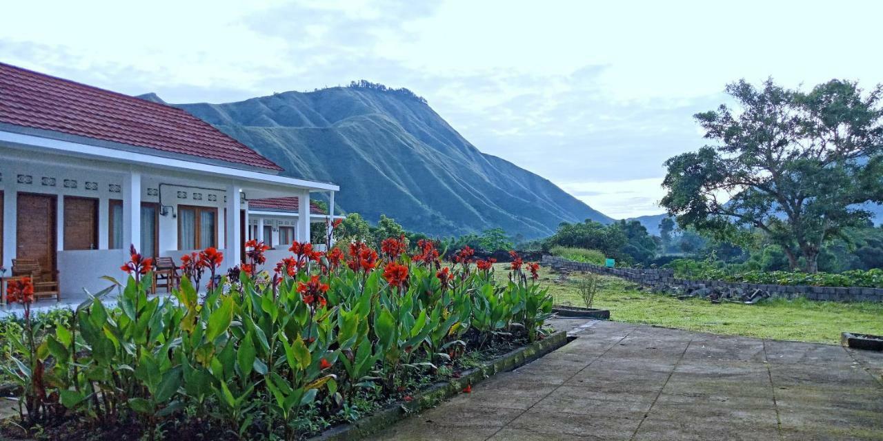 Rinjani Hill Hotel Sembalunlawang Exteriér fotografie